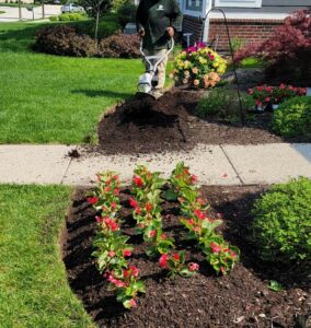 plant installation service near Indianapolis in