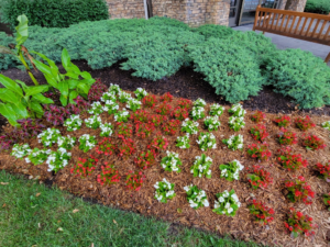 plant installation service near Indianapolis in